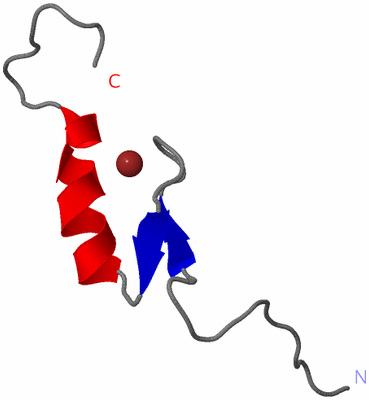 Image NMR Structure - model 1