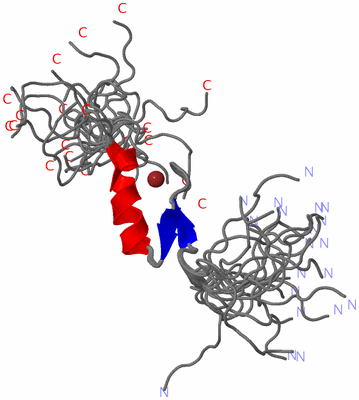 Image NMR Structure - all models