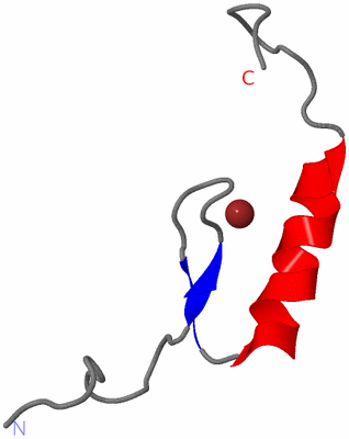 Image NMR Structure - model 1