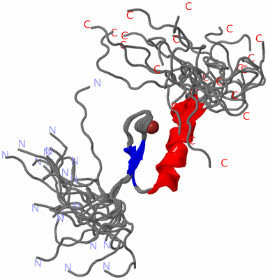 Image NMR Structure - all models