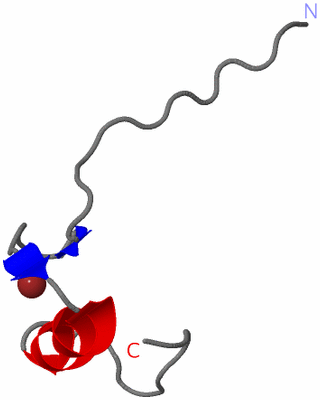 Image NMR Structure - model 1