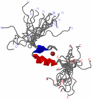 Image NMR Structure - all models