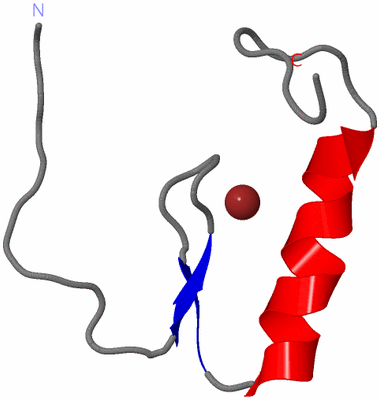 Image NMR Structure - model 1