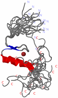 Image NMR Structure - all models