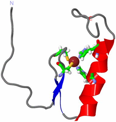 Image NMR Structure - model 1, sites