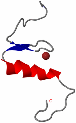 Image NMR Structure - model 1