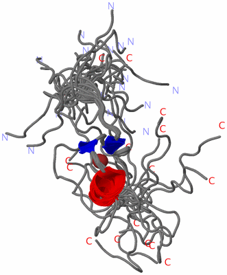 Image NMR Structure - all models