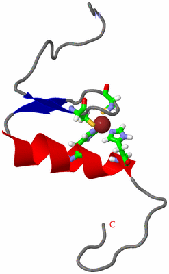 Image NMR Structure - model 1, sites