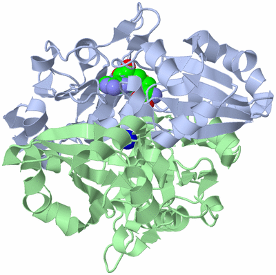 Image Asym./Biol. Unit