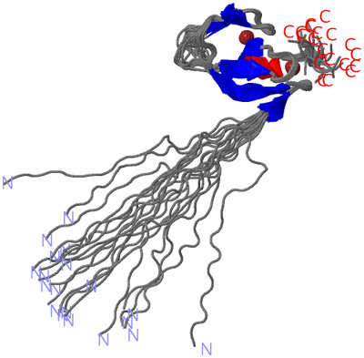 Image NMR Structure - all models