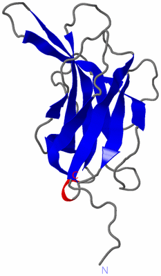 Image NMR Structure - model 1