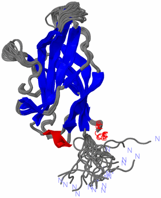 Image NMR Structure - all models