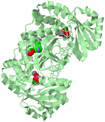 Image Biological Unit 2