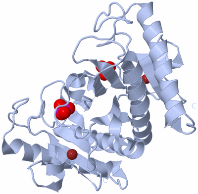 Image Biological Unit 1