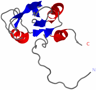 Image NMR Structure - model 1