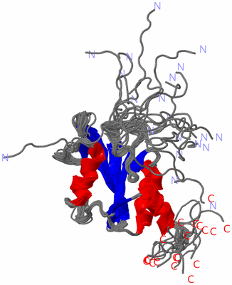 Image NMR Structure - all models