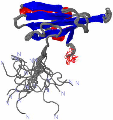 Image NMR Structure - all models