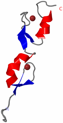 Image NMR Structure - model 1