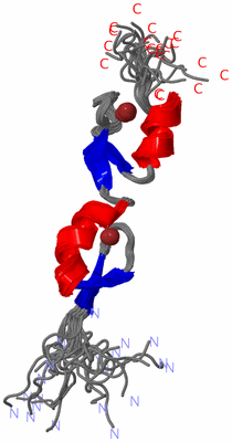 Image NMR Structure - all models