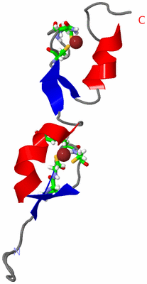 Image NMR Structure - model 1, sites