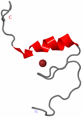 Image NMR Structure - model 1