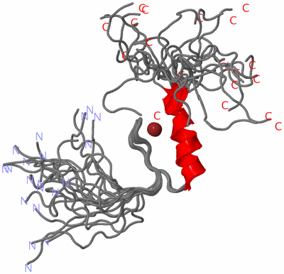 Image NMR Structure - all models