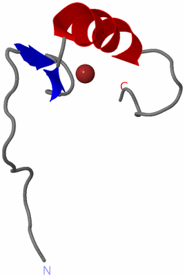 Image NMR Structure - model 1