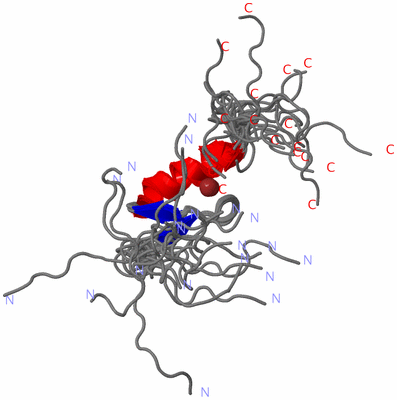 Image NMR Structure - all models