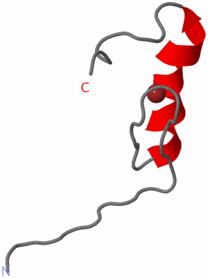 Image NMR Structure - model 1