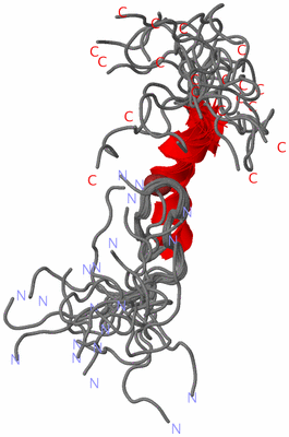 Image NMR Structure - all models