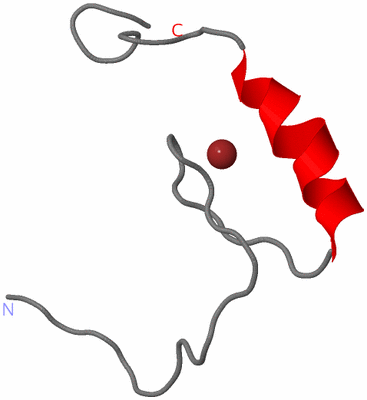 Image NMR Structure - model 1