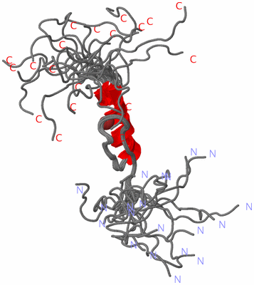 Image NMR Structure - all models