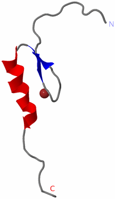 Image NMR Structure - model 1