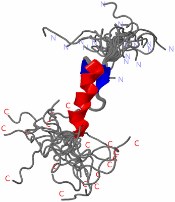 Image NMR Structure - all models