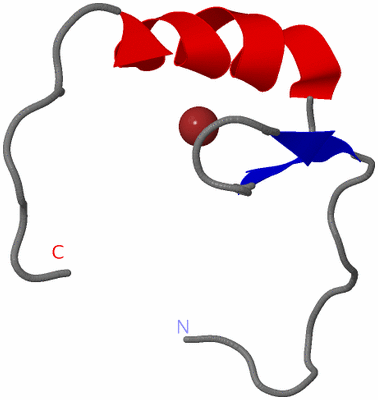 Image NMR Structure - model 1