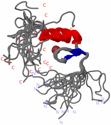 Image NMR Structure - all models