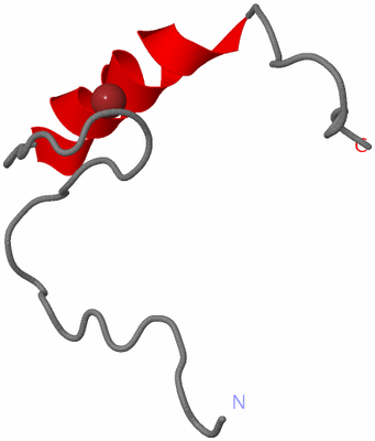 Image NMR Structure - model 1