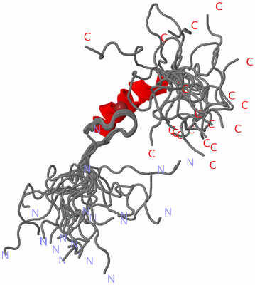 Image NMR Structure - all models