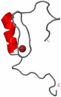 Image NMR Structure - model 1