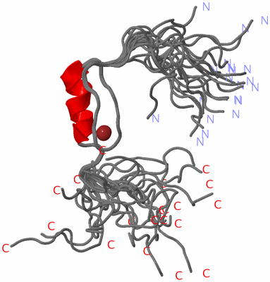 Image NMR Structure - all models