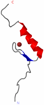 Image NMR Structure - model 1