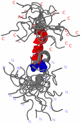 Image NMR Structure - all models