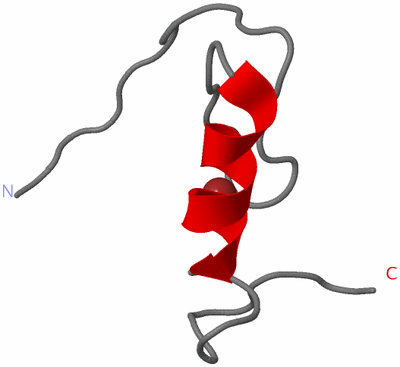 Image NMR Structure - model 1