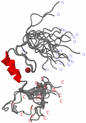 Image NMR Structure - all models