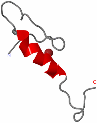 Image NMR Structure - model 1