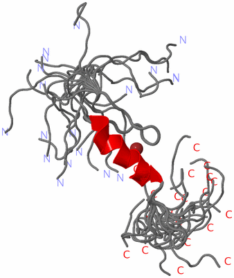 Image NMR Structure - all models