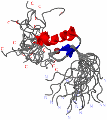 Image NMR Structure - all models