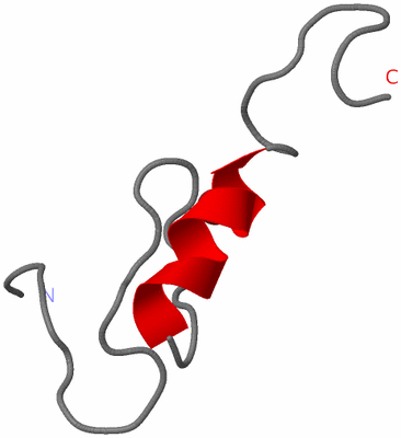 Image NMR Structure - model 1