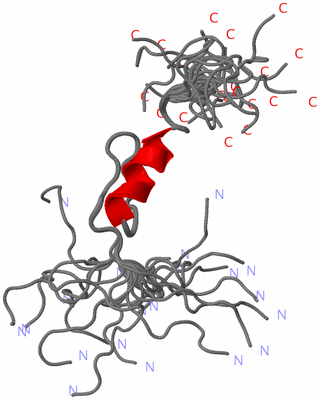 Image NMR Structure - all models