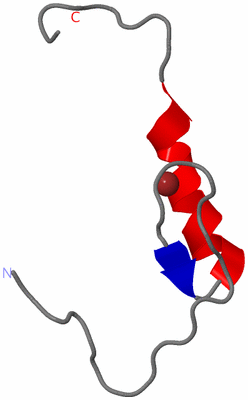 Image NMR Structure - model 1